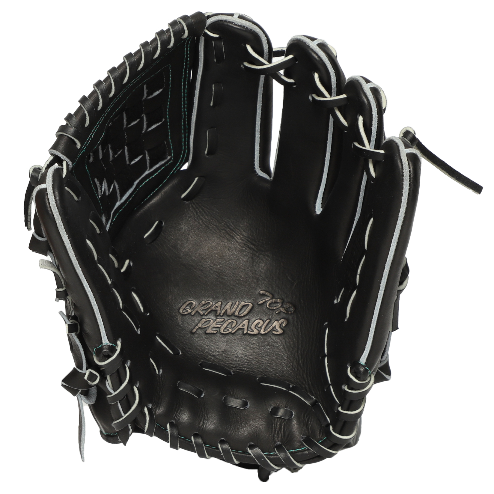 WGN6PT651P WGN6PT651P